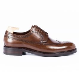 Brown Longwing Shoe