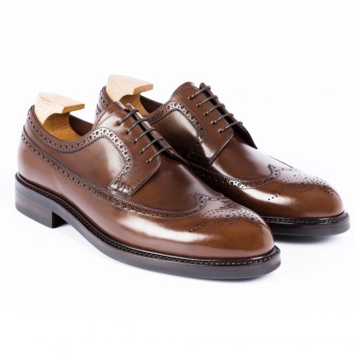 Brown Longwing Shoe